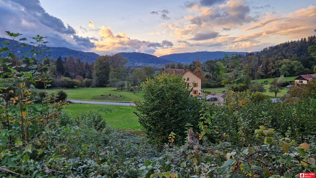 Terrain GERBAMONT 55000€ Marc HENRY IMMOBILIER