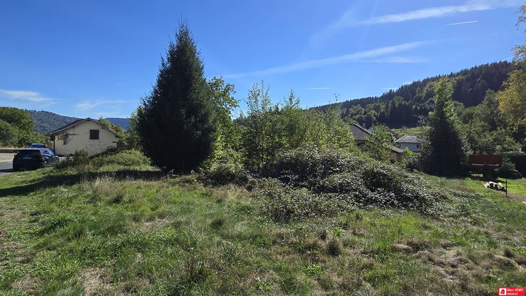 Terrain LE THOLY 47500€ Marc HENRY IMMOBILIER