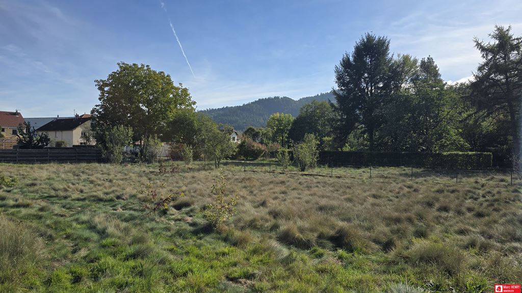 Terrain ST AME 45000€ Marc HENRY IMMOBILIER Terrain ST AME 45000€ Marc HENRY IMMOBILIER